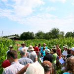 Tour attendees in a corn field listening to the guide.