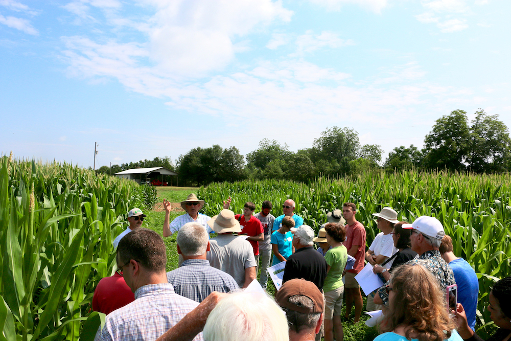 Tour attendees in a corn field listening to the guide.