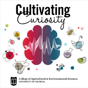 cultivating-curiosity