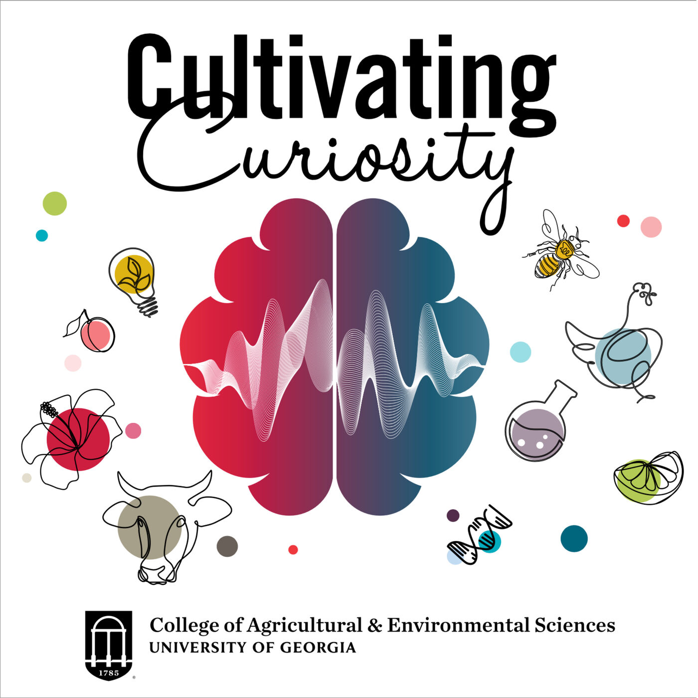 cultivating-curiosity
