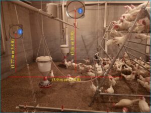Monitoring Spatial Distribution of Laying Hens with Deep Learning.