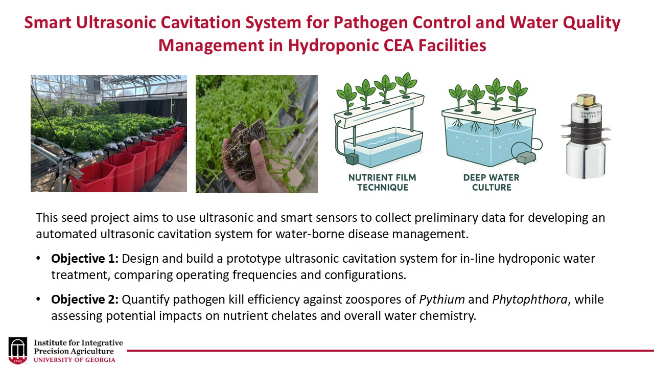 A schematic of the methods the PIs will use to complete the project. The slide includes the title of the project at the top which is “Smart Ultrasonic Cavitation System for Pathogen Control and Water Quality Management in Hydroponic CEA Facilities.” The bottom of the slide includes the aim of the project which is to use ultrasonic and smart sensors to collect preliminary data for developing an automated ultrasonic cavitation system for water-borne disease management. The two project objectives are listed below the aim. The objectives are to (1) design and build a prototype ultrasonic cavitation system for in-line hydroponic water treatment, comparing operating frequencies and configurations; and (2) Quantify pathogen kill efficiency against zoospores of Pythium and Phytophthora, while assessing potential impacts on nutrient chelates and overall water chemistry. Between the title and the aim and objectives are two photos of plants in a greenhouse and two drawings of hydroponic systems. The first shows hydroponic culture using the nutrient film technique and the second using the deep culture technique. Finally, there is a drawing of an ultrasonic transducer used for creating cavitation.