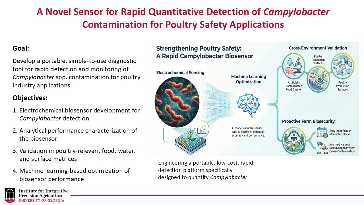 A schematic of the methods the PIs will use to complete the project. The slide includes the title of the project at the top which is “A Novel Sensor for Rapid Quantitative Detection of Campylobacter Contamination for Poultry Safety Applications.” Below the title and to the left is listed the project goal, which is to develop a portable, simple-to-use diagnostic tool for rapid detection and monitoring of Campylobacter spp. contamination for poultry industry applications. Below that the projects four objectives are listed. The objectives are (1) electrochemical biosensor development for Campylobacter detection; (2) analytical performance characterization of the biosensor; (3) validation in poultry-relevant food, water, and surface matrices; and (4) machine learning-based optimization of biosensor performance. To the right of the goal and objectives are drawings show how electrochemical sensing with will be achieved by engineering a portable, low-cost, rapid detection platform specifically designed to quantify Campylobacter. Machine learning will be used to analyze the data and maximize detection and accuracy and performance. The process will be used for proactive farm biosecurity.