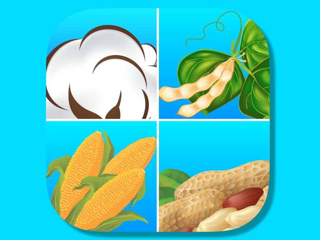 Four illustrated crops separated by white lines—cotton, soybeans, corn, and peanuts—are displayed on a blue background, highlighting the importance of smarter irrigation solutions like CropFit for optimal cotton irrigation and overall crop health.